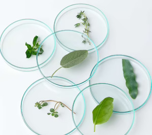 Vytrus Biotech cierra un ejercicio de consolidación, mientras mantiene un margen de beneficio neto del 15%