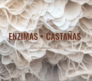 Enzicas utiliza la fermentación de hongos para acelerar la maduración en quesos y la curación en cárnicos