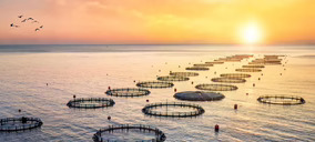 Avramar reorganiza estructura y deuda en España, pero se mantiene al margen de la desinversión en Grecia