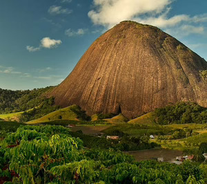 Nestlé investiga nuevas variedades de café arábica resistentes al cambio climático