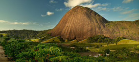 Nestlé investiga nuevas variedades de café arábica resistentes al cambio climático