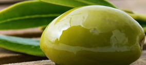 Un grupo aceitunero esquiva el concurso al que se había visto abocado por la guerra en Ucrania