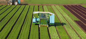 El grupo hortofrutícola Toro Verde acaba en liquidación
