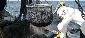 La flota atunera española, primera en certificar sus capturas en las cuatro regiones oceánicas