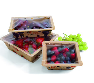 Grupo La Plana prepara el terreno para seguir creciendo en bandejas