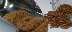 Galinsect, biotecnología y sostenibilidad para exprimir el valor añadido a la ganadería de insectos