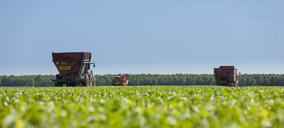 Grupo Virto logra una facturación récord pese a la falta de disponibilidad de algunas referencias