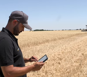 Grupo Gallo trabaja en la mejora de la producción de cereales con inteligencia artificial