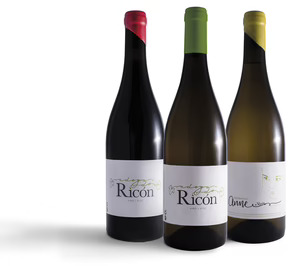 La bodega gallega Adega do Ricon prevé lanzar dos variedades de rosado en 2024