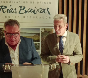 DO Rías Baixas consigue la máxima calificación del Consejo Regulador en su añada 2023