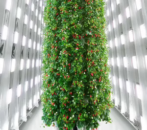 Plenty firma un acuerdo de 680 M$ para desplegar una red de granjas de agricultura vertical en Oriente Medio