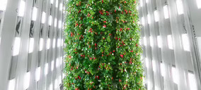 Plenty firma un acuerdo de 680 M$ para desplegar una red de granjas de agricultura vertical en Oriente Medio