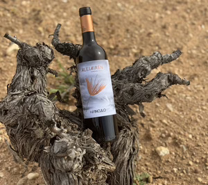 Familia Fernández Rivera crece a doble dígito y recoge los frutos de su potente plan de desarrollo