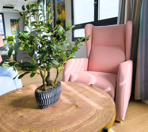 Vitalia ultima dos nuevas aperturas geriátricas para este mes de febrero