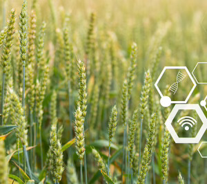 Las startups de AgriFoodtech tienen que ganar eficiencia ante las condiciones de mercado más estrictas