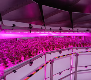 La tecnología de agricultura vertical Farmitank pasa a fase comercial