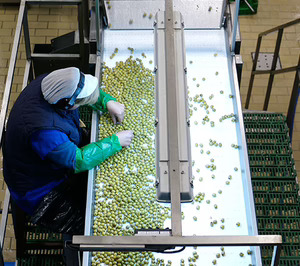 Agrosevilla se fortalece con la integración de otra cooperativa aceitunera