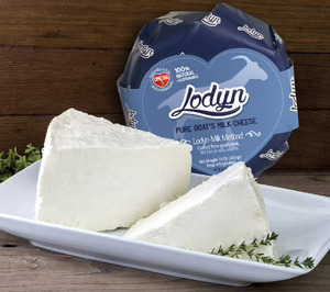 La fabricante de quesos saludables Lodyn entra en concurso