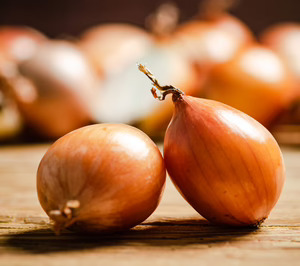 Eurocebollas inicia etapa como Solions, dobla capacidad y reorganiza su accionariado