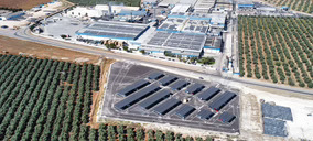 Agrosevilla incrementa un 19% su facturación impulsada por su estrategia de diversificación internacional