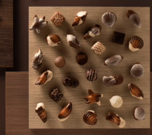 Natra superó los 700 M€ de ingresos, aún con escasa aportación de Gudrun