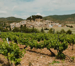 Eslava pone en marcha un proyecto de viticultura regenerativa liderado por su cooperativa local