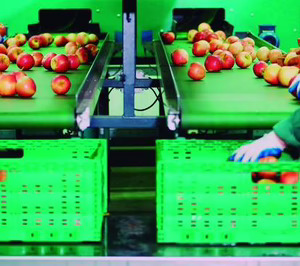 La Ley 1/2025 de Prevención de las Pérdidas y el Desperdicio Alimentario ya es una realidad