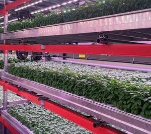 Néboda levanta 1,8 M€ para consolidar su producción en agricultura vertical a escala preindustrial