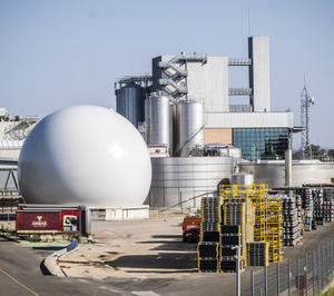 Cervezas Ambar cede en facturación en 2024 y avanza en su expansión nacional