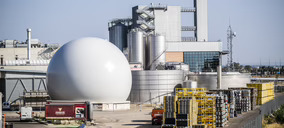 Cervezas Ambar cede en facturación en 2024 y avanza en su expansión nacional