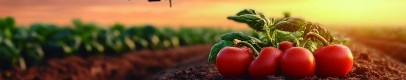 Informe 2025 de innovación en el sector hortofrutícola