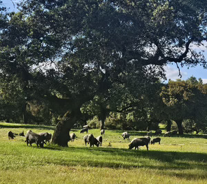 El nuevo consejo de la DO Dehesa Extremadura inicia sus funciones