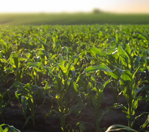 Matholding adquiere la especialista en bioestimulantes Altinco