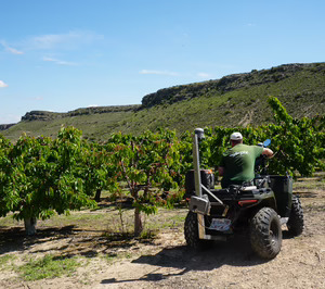 David Francés (Agerpix): “Aplicamos cámaras de visión artificial tanto en campo como en agroindustria”
