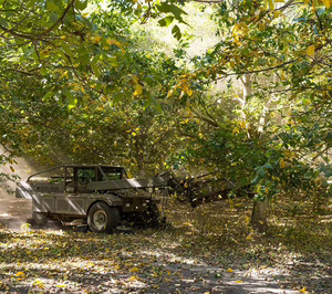 La industria de Nueces de California anuncia la previsión de cosecha 2025 con mayor producción