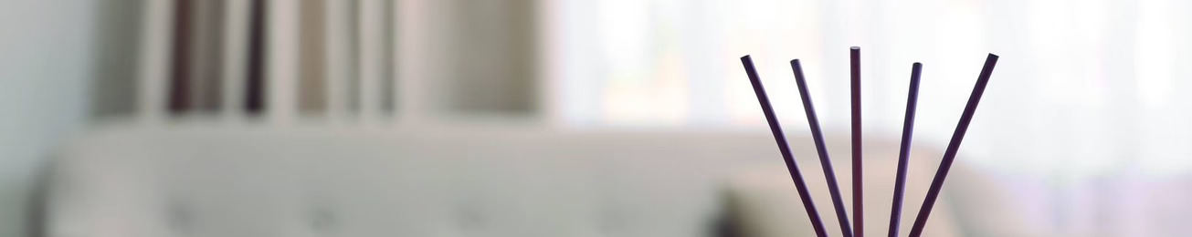 Informe 2025 de la categoría de ambientadores