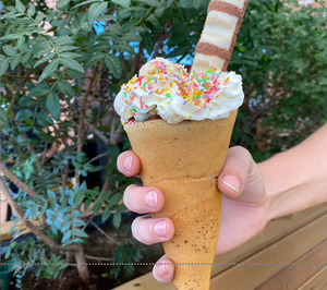 Desaparece una cadena de heladerías