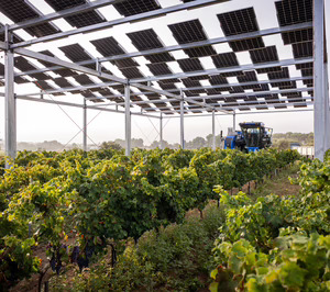 Familia Torres instala una planta piloto agrovoltaica en el Penedès