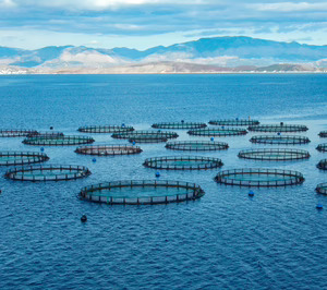 Guiomar Sánchez (Bioprocesia): Ha llegado nuestro momento de demostrar, escalar y rodar en el mercado