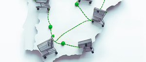 Informe 2025 del sector de la distribución alimentaria en España por ingresos