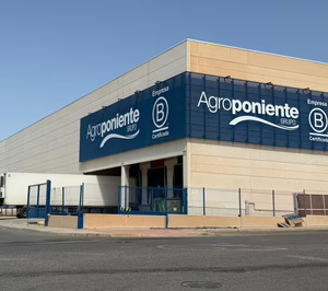 Agroponiente apuesta por el calabacín en su nuevo centro de Primores La Mojonera