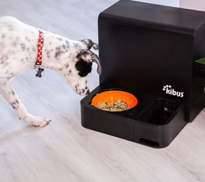 Kibus Petcare avanza con su modelo de alimentación cocinada para perros a domicilio