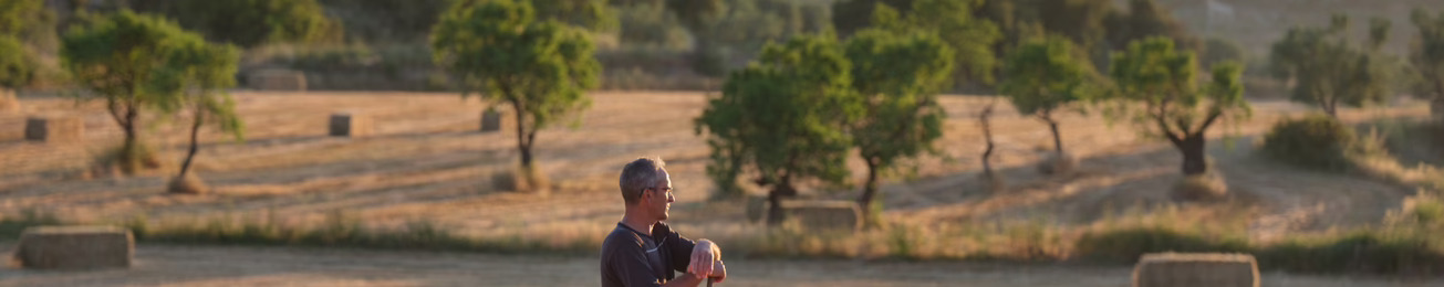 Informe 2025 del sector de Carne de Ovino