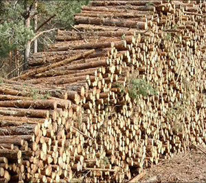 El Reglamento sobre Deforestación podría retrasarse más