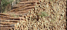 El Reglamento sobre Deforestación podría retrasarse más