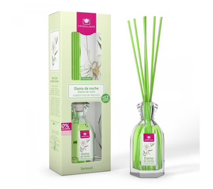 Hugworld, ambicioso plan de crecimiento basado en la expansión internacional y la innovación