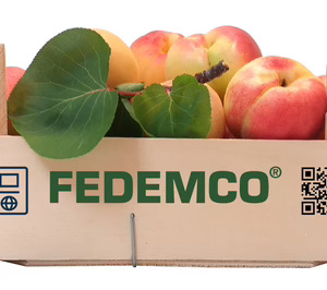Fedemco impulsará el pasaporte digital para envases de madera