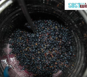 Arranca el proyecto de I+D Sostwine24, con Adegas Valmiñor y Pradorey como bodegas participantes