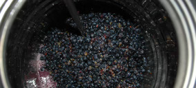 Arranca el proyecto de I+D Sostwine24, con Adegas Valmiñor y Pradorey como bodegas participantes