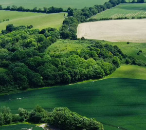 El exfutbolista Jesús Navas se apunta al negocio hotelero